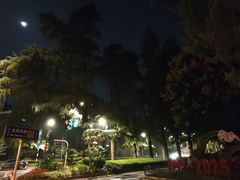 -北极阁公园