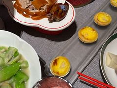 -秀儿四九城·新京菜(亚运村鸟巢店)