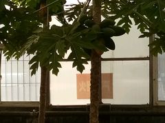-淄博花灯齐彩城