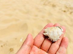 -青岛银沙滩