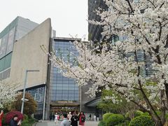 -上海世纪汇广场