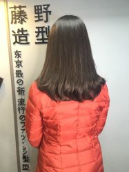 点击看大图 -藤野造型