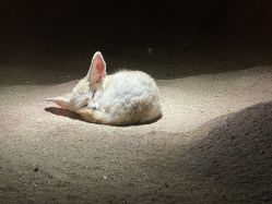 -酷嗒动物文化乐园(cutezoo西溪乐天城店)