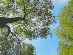 -森林公园(尖草坪区)