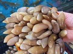 -粤盛海鲜平价店(洛溪食街店)