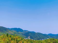 -宁波浙东大竹海景区