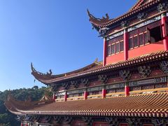 -东莞市大岭山森林公园