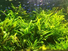 -上海海洋水族馆