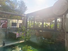 -野蔓果·山野菜(西湖景区·龙井茶田店)