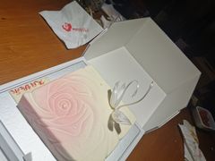 -BLACKSWAN黑天鹅(环球店)