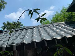 -铁炉农家菜馆
