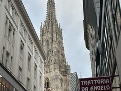 -斯蒂芬主教座堂(Stephansdom)
