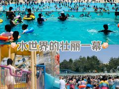 -秦皇岛乐岛海洋王国