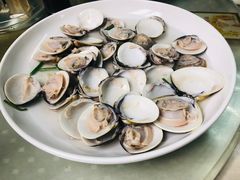 文蛤-老渔家特色海味馆(金海中路店)