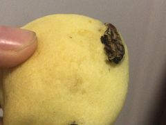 -周记传统糕点PASTRY(蜀汉路店)