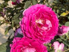 -人民公园(罗湖区)