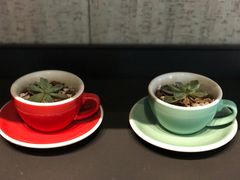 -Seesaw Coffee(环贸iapm店)