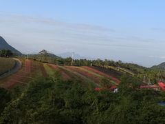 -东部华侨城
