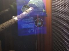-暹罗海洋世界
