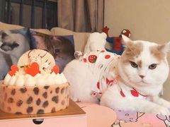 -黑池口感烘焙·生日蛋糕(坂田店)