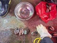 -上海龙吴水胜海发市场