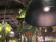 大堂-胡桃里乐队酒馆(大庆店)