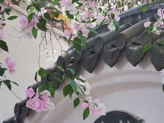 -深圳国际园林花卉博览园