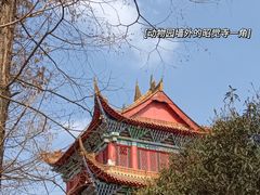 -成都动物园
