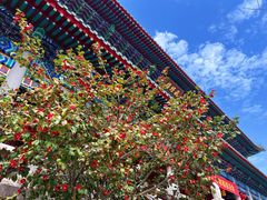-湛山寺