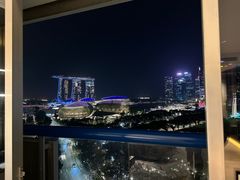 -新加坡瑞士史丹福酒店