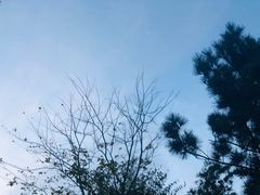 -威海天沐度假区温泉