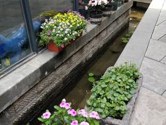 -泉乐坊步行街(烟酒特产平价超市店)