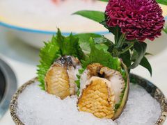 -喜聚薈·花膠雞海鮮火鍋(越秀店)