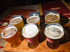 -Boxing Cat Brewery拳击猫精酿啤酒馆(永福店)