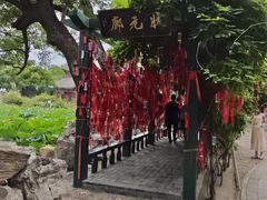 -莲池书院博物馆
