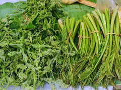 -西双版纳基诺山寨