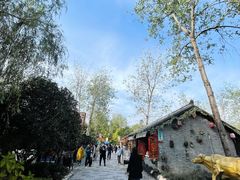 -合肥滨湖国家森林公园