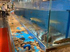 -蓝钻·国际美食海鲜自助百汇(西直门店)