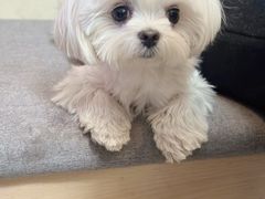 -小意思咖啡店(草桥店)