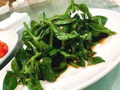 -凯思大酒店