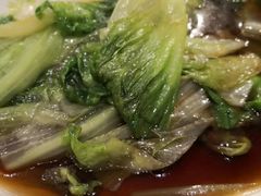 -东方饺子王(新奥购物中心店)