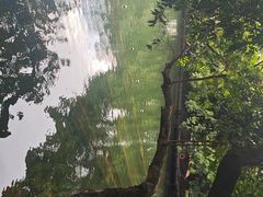 -荔湾湖公园