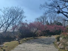 -茅山东方盐湖城景区