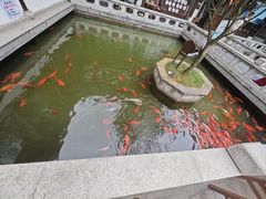 -麒麟小院·老九江菜(安平路店)
