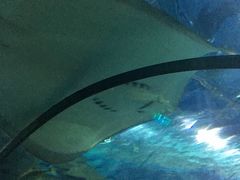 -福州罗源湾海洋世界旅游区