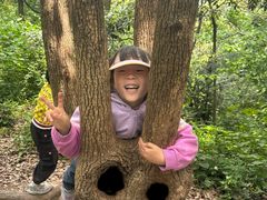 -上海佘山国家森林公园天马山园