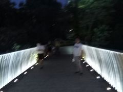 -南翔镇银翔湖公园