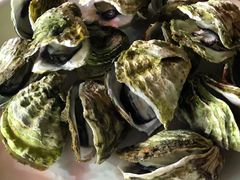 -青澳湾北回归线广场