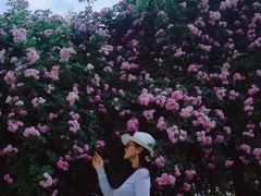 -奥林匹克森林公园北园-停车场