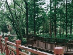 -素山寺森林公园